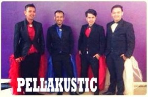 pellakustic copy