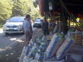 936645_4507473741125_1385162719668162345_n