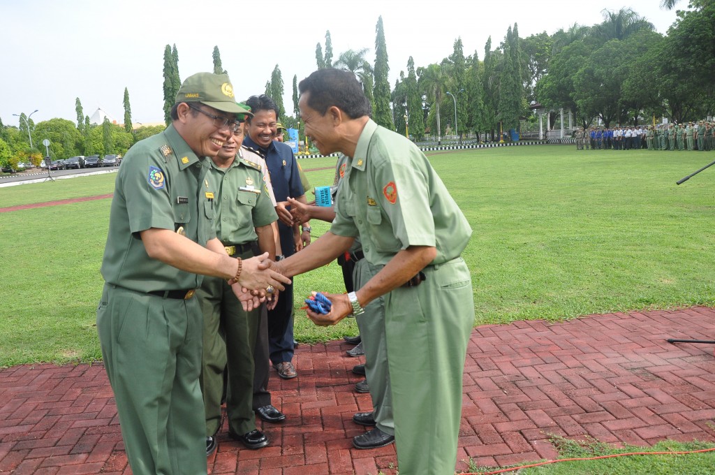 Bantuan dalam rangka mempercepat kemandirian dan kedaulatan pangan kepada warga transmigrasi