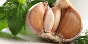bawang-putih-bikin-tubuh-makin-sehat-benar-tidak-ya