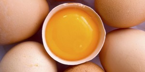 kini-tak-ada-lagi-alasan-untuk-menyingkirkan-kuning-telur