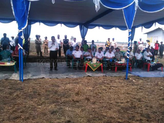 Bupati OKI Tanam Perdana di Lahan Irigasi Pipanisasi