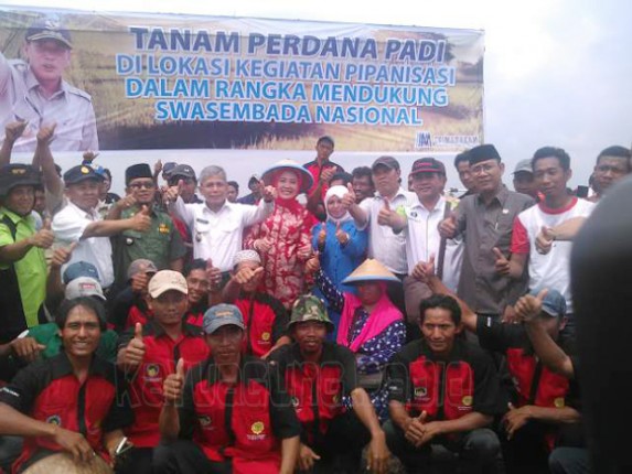 Bupati OKI Tanam Perdana di Lahan Irigasi Pipanisasi di pagar dewa mesuji