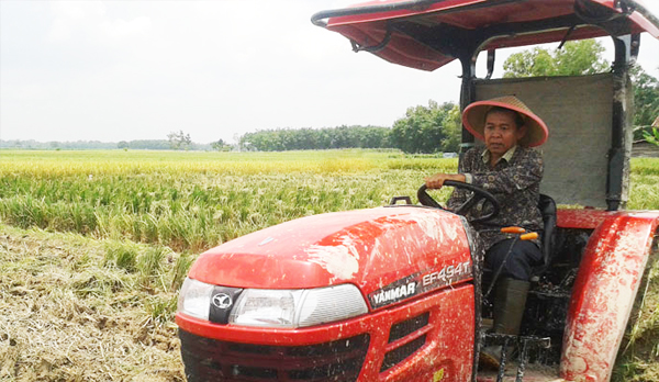 Kepala-Dinas-Pertanian-OKI