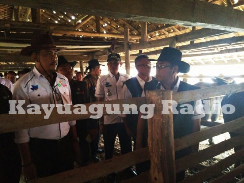 img-20160928-wa0000-1-copy