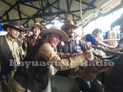 Tekan Impor Daging, Bupati OKI Galakkan "Gertak Birahi"