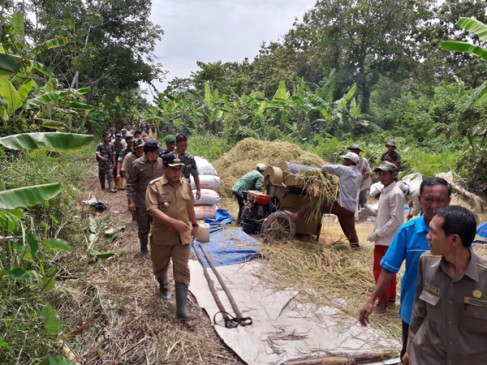 Panen Raya Bersama Kelompok Tani Kecamatan Teluk Gelam