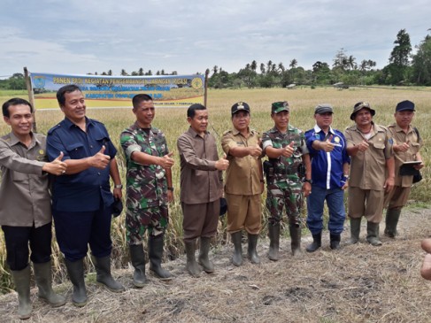 Panen Raya Bersama Kelompok Tani Kecamatan Teluk Gelam