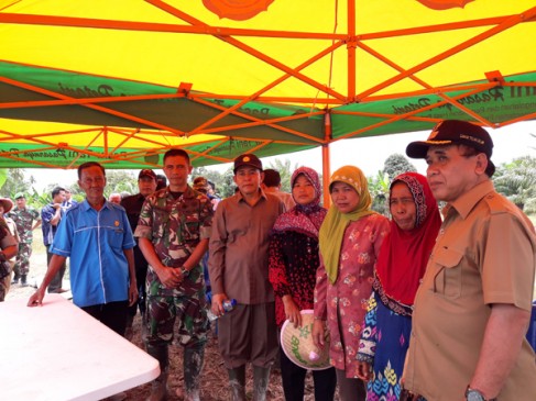 Panen Raya Padi Terluas di Teluk Gelam Langsung Olah Tanam